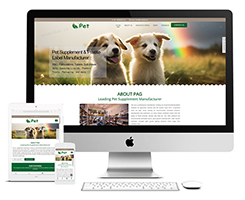 k20宠物食品响应式外贸网站