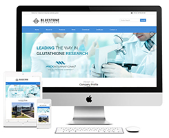 E041 白色珠宝礼品行业  大气响应式