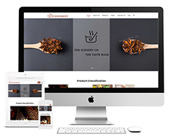 EF26 厨房调味品响应式外贸网站