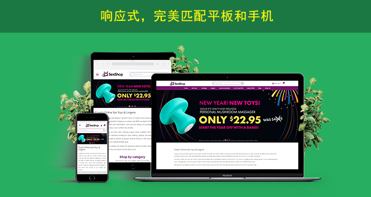 2网站内页上传响应式网页展示.jpg