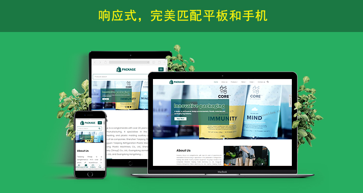 2网站内页上传响应式网页展示.jpg