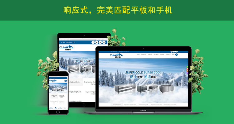 2网站内页上传响应式网页展示.jpg