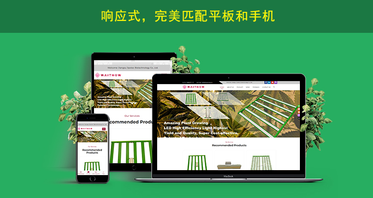 2网站内页上传响应式网页展示.jpg
